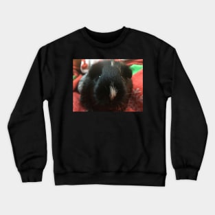 Nose boop pig Crewneck Sweatshirt